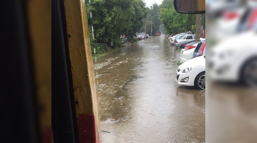  &copy;&nbsp;Фото из аккаунта в Instagram, instagram.com/tipich_krd