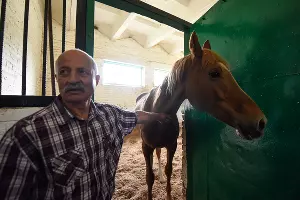 Конеферма учхоза &laquo;Кубань&raquo; &copy;&nbsp;Фото Елены Синеок, Юга.ру