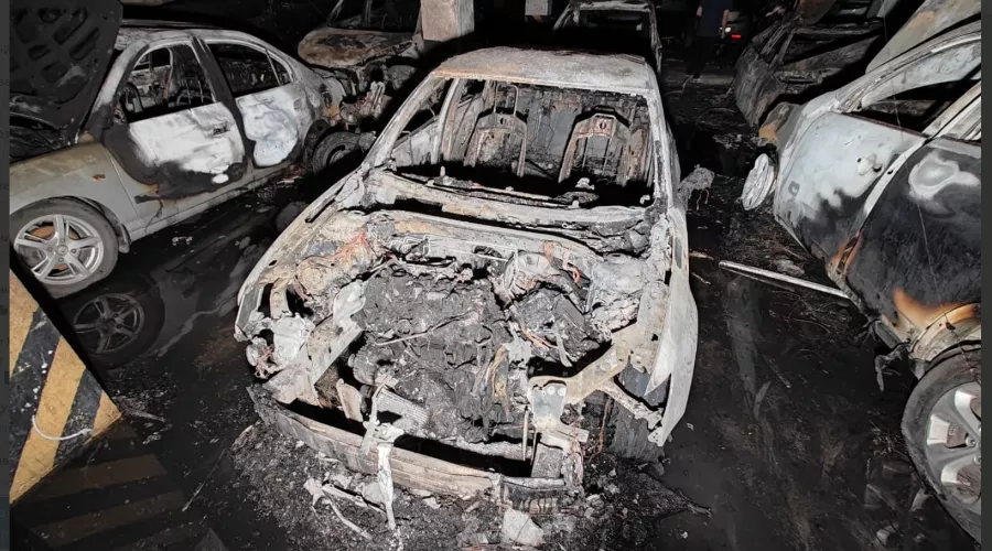  &copy;&nbsp;Фото Константина Грибанова