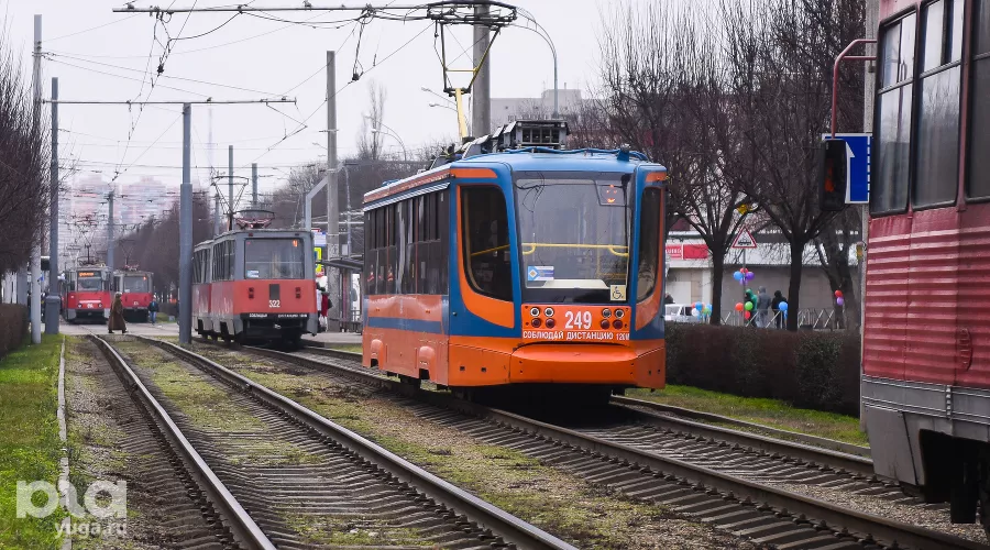  &copy;&nbsp;Фото Елены Синеок, Юга.ру