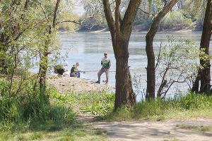  © Фото пресс-службы администрации Краснодара