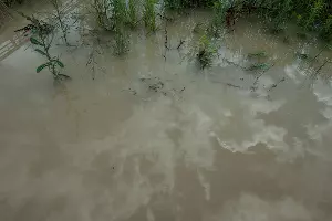  &copy;&nbsp;Нина Зотина, ЮГА.ру