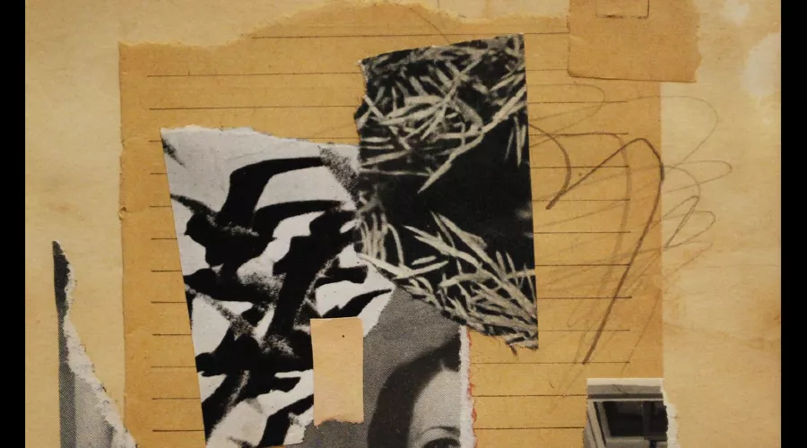  &copy;&nbsp;Скриншот фото из письма от пресс-службы музея имени Коваленко