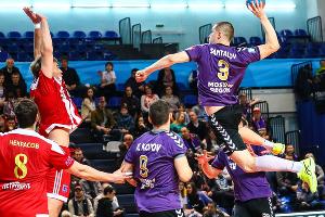 Матч полуфинала чемпионата России ГК «Чеховские медведи» — «Динамо-Виктор» © Фото пресс-службы ГК «Чеховские медведи»