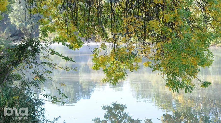  &copy;&nbsp;Фото Марины Солошко, Юга.ру