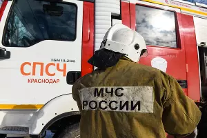  &copy;&nbsp;Фото Елены Синеок, Юга.ру