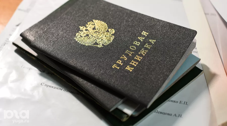 Трудовая книжка &copy;&nbsp;Фото Елены Синеок, Юга.ру