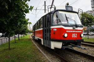  © Фото Елены Синеок, Юга.ру