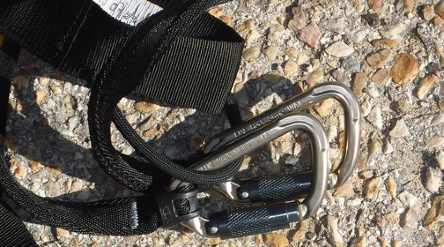  &copy;&nbsp;Фото с сайта pixabay.com