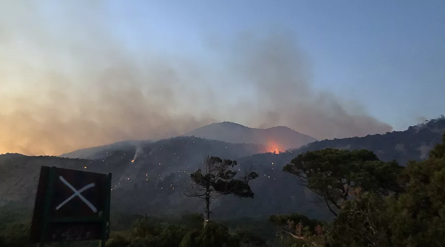 Пожар в заповеднике «Утриш» &copy;&nbsp;Фото Виталия Кавтарадзе