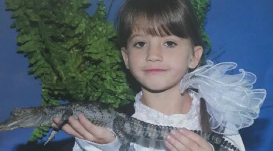  &copy;&nbsp;Фото пресс-службы СК РФ