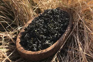  &copy;&nbsp;Фото Андрея Севоплясова