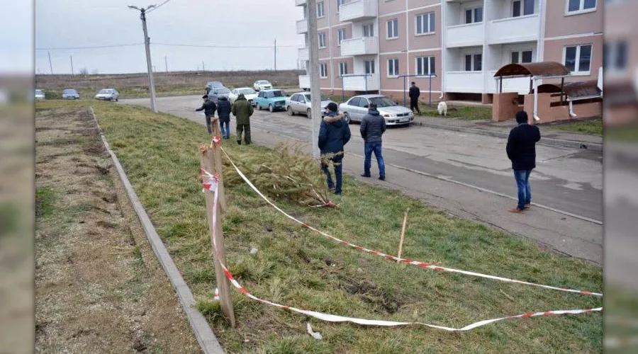  &copy;&nbsp;Фото пресс-службы администрации Крымского района