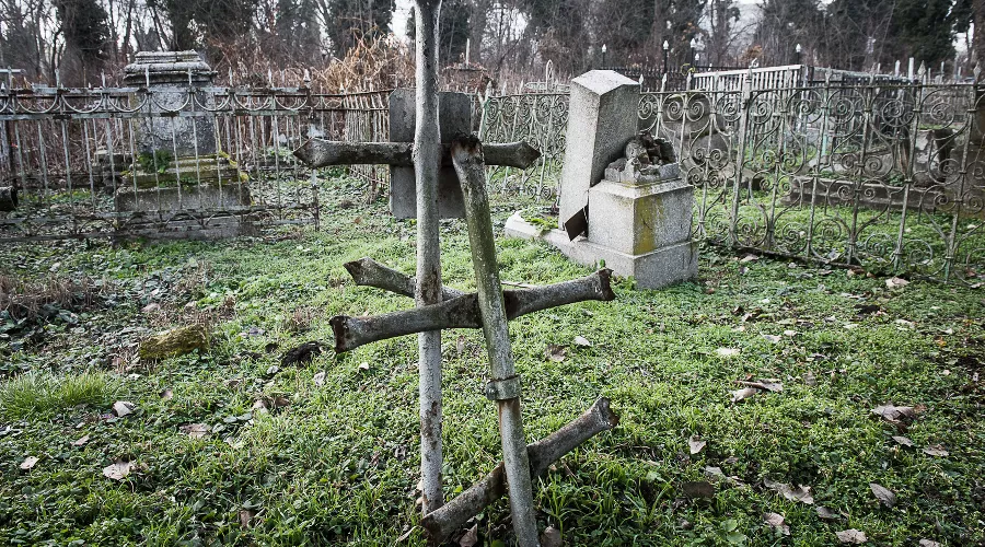  &copy;&nbsp;Фото Елены Синеок, Юга.ру