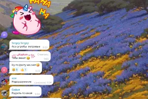  &copy;&nbsp;Скриншот из телеграм- канала &laquo;Туподар&raquo;