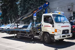  &copy;&nbsp;Фото Елены Синеок, Юга.ру