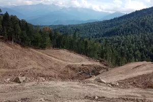  &copy;&nbsp;Фото Елены Малышевой, Юга.ру