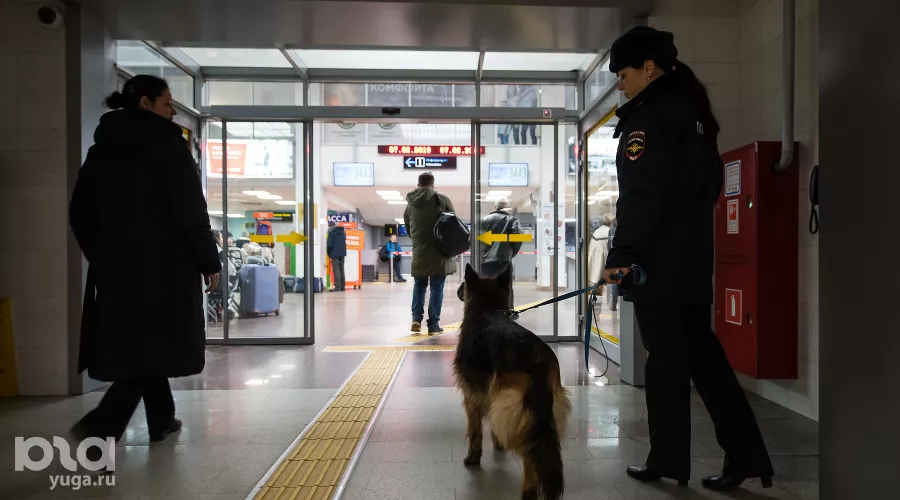  &copy;&nbsp;Фото Елены Синеок, Юга.ру