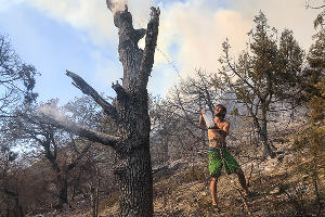 Пожар в заповеднике «Утриш» &copy;&nbsp;Фото Виталия Кавтарадзе