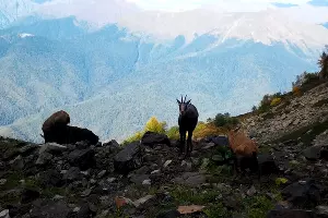  &copy;&nbsp;Фото пресс-службы курорта &laquo;Роза Хутор&raquo;