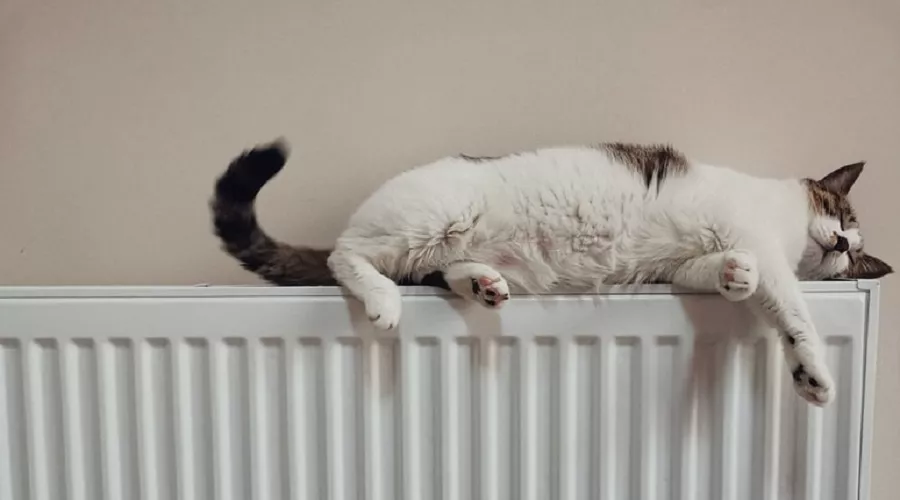  &copy;&nbsp;Фото he gong, unsplash.com