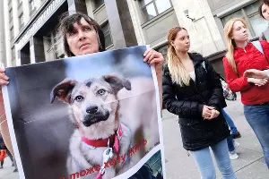  &copy;&nbsp;Фото с сайта duma.gov.ru