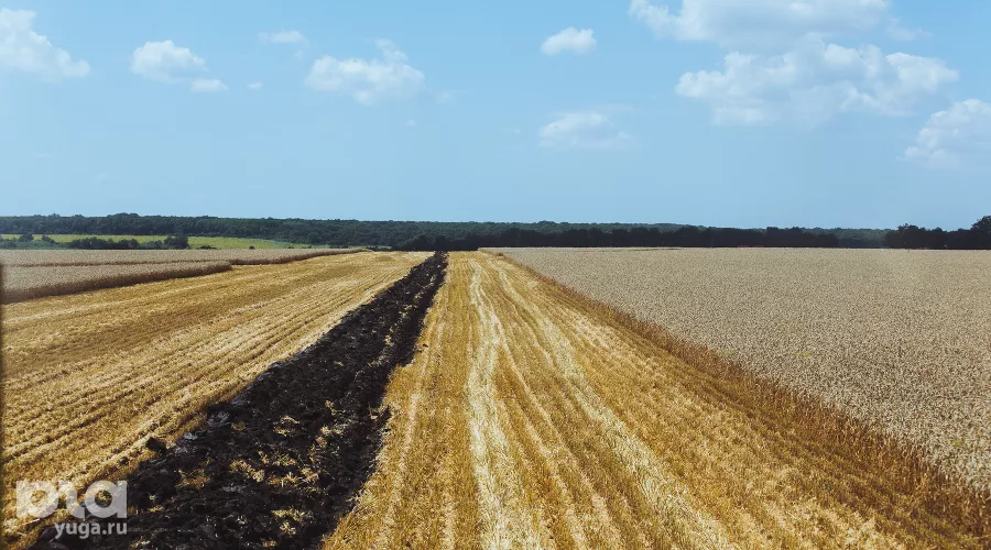  &copy;&nbsp;Фото Амины Ибрагимовой, Юга.ру