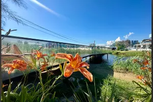  &copy;&nbsp;Скриншот из телеграм-канала &laquo;Курорт Анапа&raquo; https://t.me/kurortanapa/5534