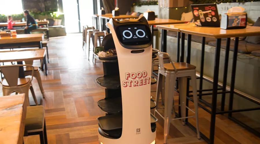 Робот Кошечка в новой какаошной  &copy;&nbsp;Фото предоставлено пресс-службой курорта &laquo;Роза Хутор&raquo;