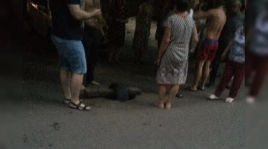  &copy;&nbsp;Фото со страницы instagram.com/typodar