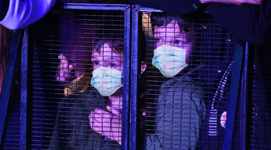  &copy;&nbsp;Фото Елены Синеок, коллаж Юга.ру