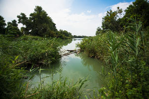Большой остров © Фото Елены Синеок, Юга.ру