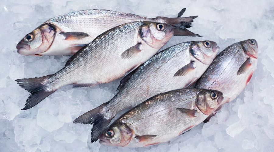 рыба &copy;&nbsp;Изображение сгенерировано нейросетью Gigachat