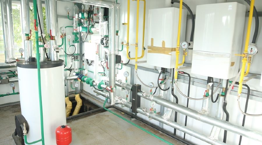  © Фото пресс-службы администрации Краснодара