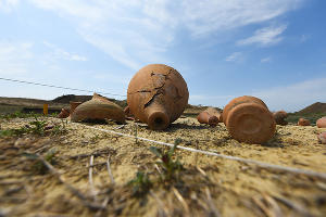 Раскопки в Фанагории. Уцелевшая гробница позднеантичной эпохи © Фото Елены Синеок, Юга.ру