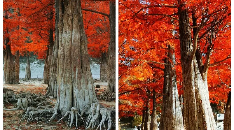  &copy;&nbsp;Фото Вячеслава Ревуна