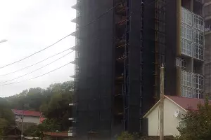  &copy;&nbsp;Фото из канала t.me/typodar