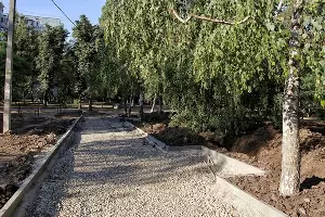  &copy;&nbsp;Фото пресс-службы администрации Краснодара