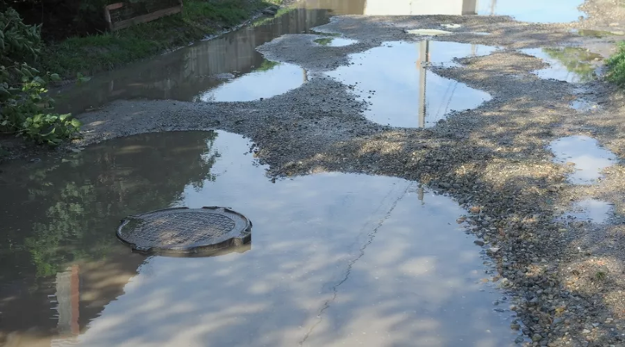  &copy;&nbsp;Фото пресс-службы администрации Краснодара