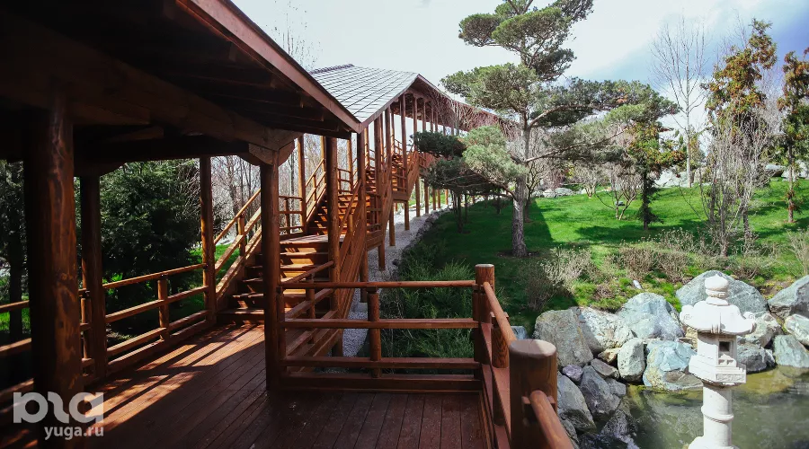 Японский сад &copy;&nbsp;Антон Быков, Юга.ру