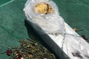  &copy;&nbsp;Фото предоставлено кураторской группой Plague