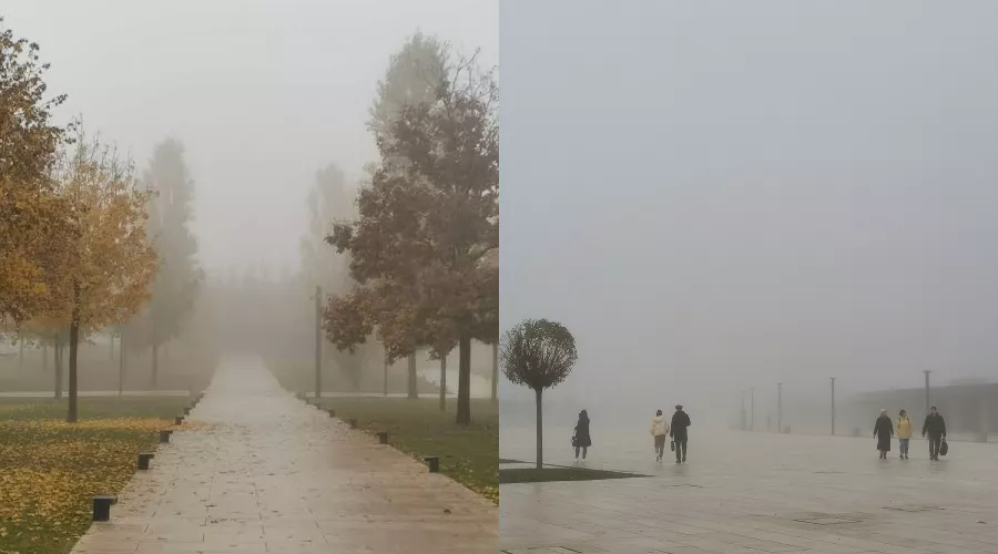  &copy;&nbsp;Коллаж из фото Марии Журавлевой