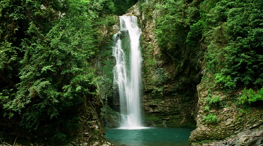  &copy;&nbsp;Фото Сочинского национального парка