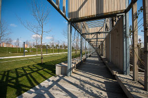 Парк «Краснодар»  &copy;&nbsp;Фото Елены Синеок, Юга.ру