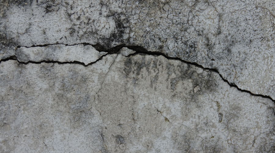  © Фото пользователя lachetas с сайта freepik.com