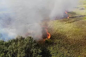  &copy;&nbsp;Фото со страницы instagram.com/cheh_rodion