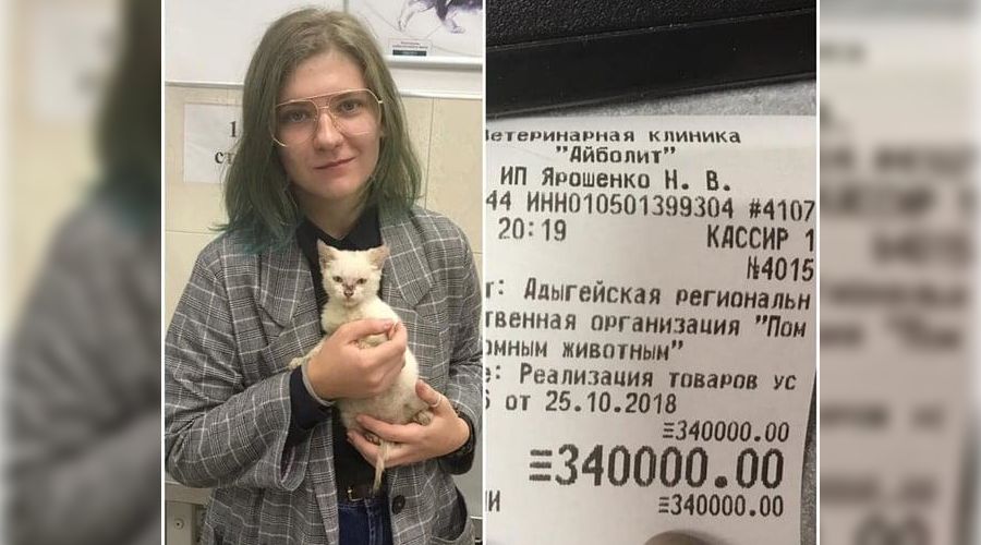  &copy;&nbsp;Фото со страницы instagram.com/dog_maikop