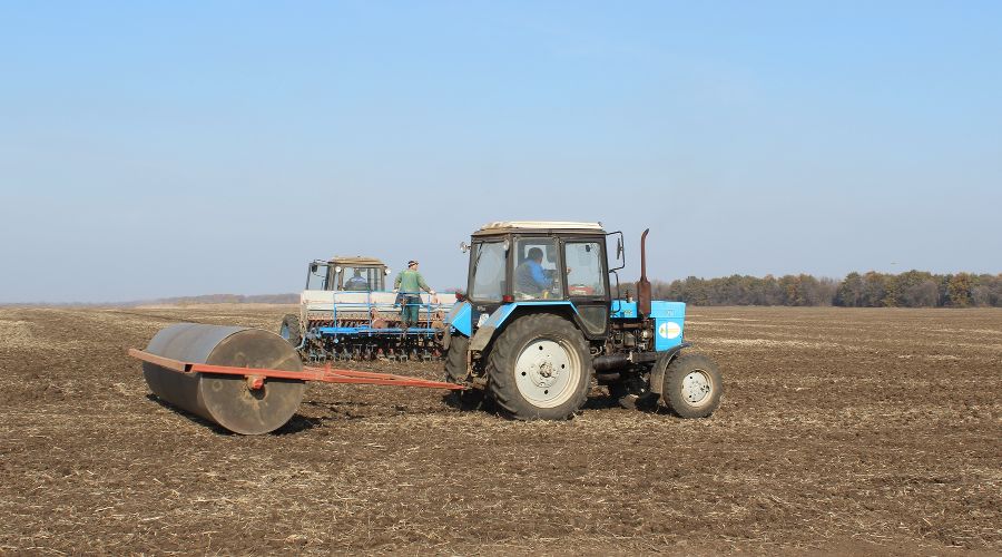 Работы Агрохолдинга «Кубань» © Фото пресс-службы Агрохолдинга «Кубань»