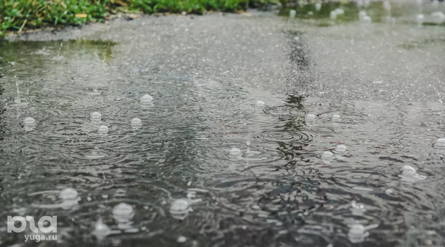  &copy;&nbsp;Фото Елены Синеок, Юга.ру