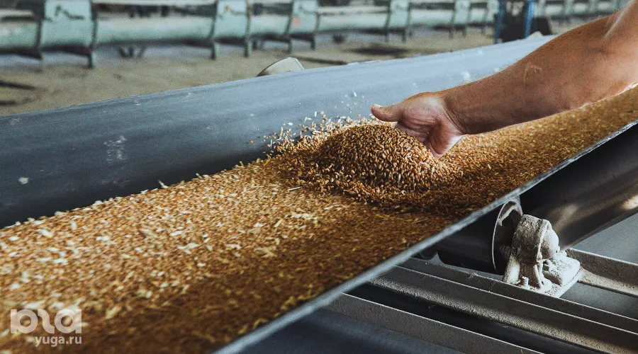  &copy;&nbsp;Фото Амины Ибрагимовой, Юга.ру